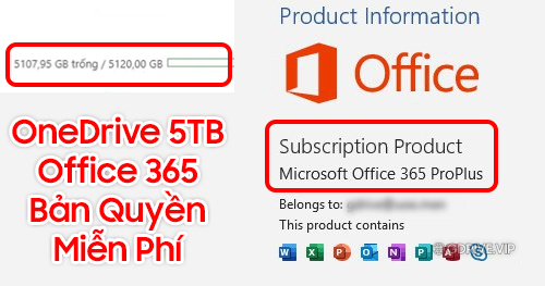 Tài khoản Microsoft Office 365 A3 là gì - GDrive VIP - Google Drive  Unlimited