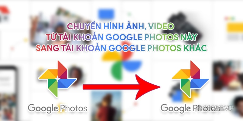 Cách chuyển ảnh từ Google Photos sang tài khoản khác