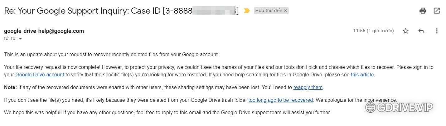 restore google drive file 04